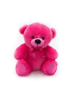 Teddy Bear- 9 Inch